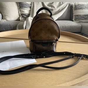 Louis Vuitton Palm Spring Mini backpack Reverse